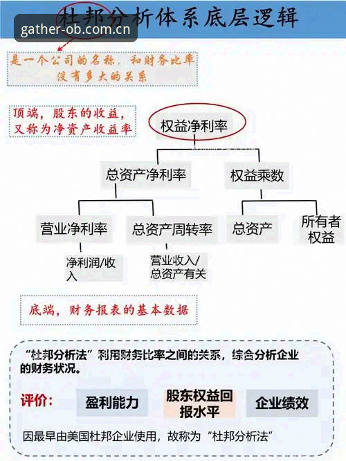 欧宝体育平台新版首页逻辑拆解：从入口路径到赛事数据的全面解析